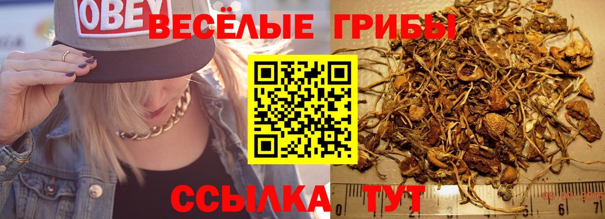Псилоцибиновые грибы GOLDEN TEACHER Борзя